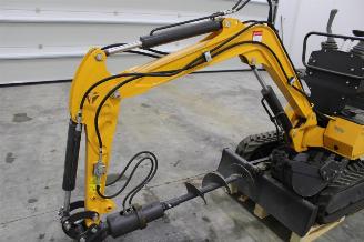 Rhinoceros XN11  picture 6