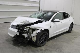 Schadeauto Tesla Model 3  2024/1