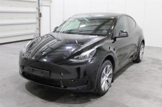 krockskadad bil auto Tesla Model Y  2024/8