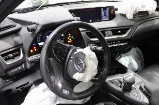 Lexus UX  picture 10