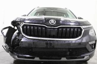 Skoda Kamiq  picture 23