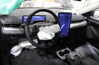 Ford Mustang Mach-e  picture 11