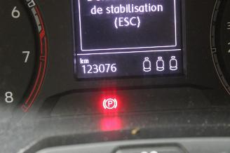 Volkswagen T-Roc  picture 12