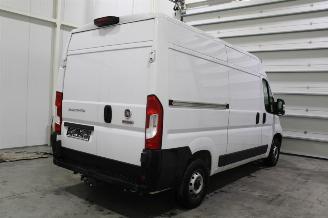 Fiat Ducato  picture 3