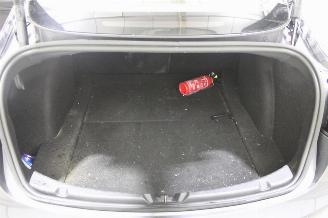 Tesla Model 3  picture 21