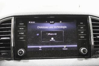 Skoda Karoq  picture 14