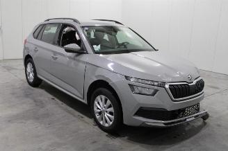 Skoda Kamiq  picture 2