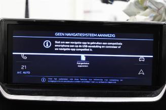 Peugeot 2008  picture 13