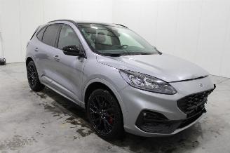 Ford Kuga  picture 2