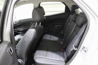 Ford EcoSport  picture 11