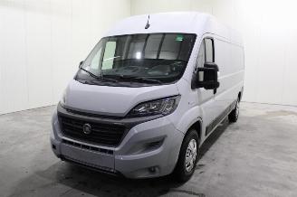 Vrakbiler auto Fiat Ducato  2021/9