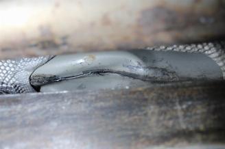 Ford Fiesta  picture 15