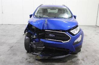 Ford EcoSport  picture 6