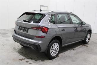 Skoda Kamiq  picture 3