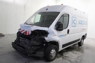 Coche accidentado Opel Movano  2024/3