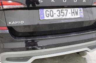 Skoda Kamiq  picture 9