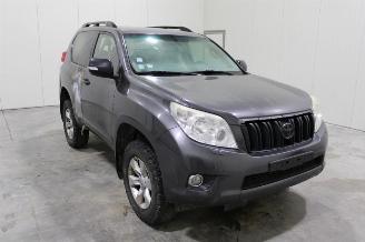 Toyota Landcruiser Land Cruiser picture 2