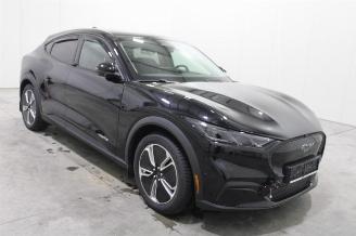 Ford Mustang Mach-e  picture 2