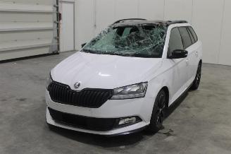 skadebil auto Skoda Fabia  2021/1