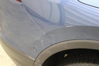 Volkswagen Tiguan  picture 25