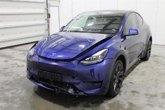 Avarii autoturisme Tesla Model Y  2024/8