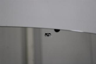 Renault Express  picture 9