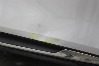 Renault Scenic  picture 9