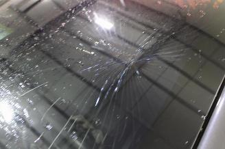 Tesla Model X  picture 8