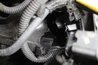 Dacia Sandero  picture 19