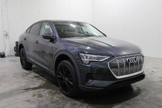 Schadeauto Audi E-tron  2022/1