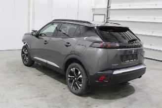 Peugeot 2008  picture 4