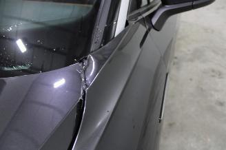 Volkswagen ID.4  picture 8