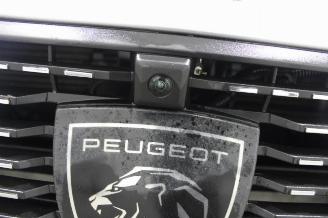 Peugeot 308  picture 23