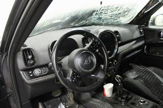 Mini Cooper _COUNTRYMAN picture 9