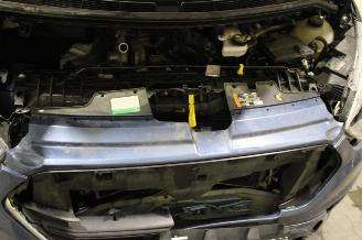 Ford Transit  picture 21