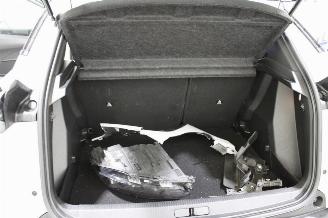 Peugeot 2008  picture 18