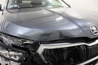 Skoda Kamiq  picture 18