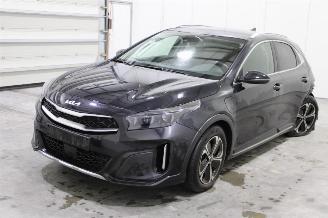 Unfallwagen Kia Xceed  2024/1