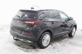 Opel Grandland X picture 3