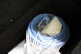 Tesla Model X  picture 16