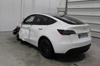 Tesla Model Y  picture 4