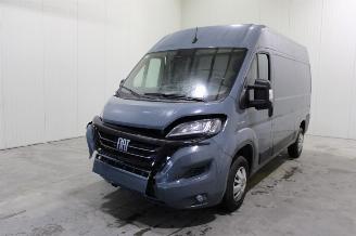 Purkuautot passenger cars Fiat Ducato  2021/8