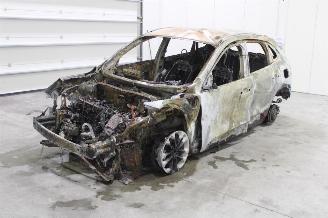 Vrakbiler auto Ford Kuga  2024/2