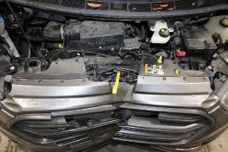 Ford Transit  picture 15