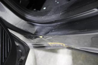 Renault Arkana  picture 21