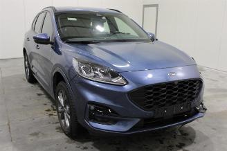 Ford Kuga  picture 2
