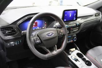 Ford Kuga  picture 10