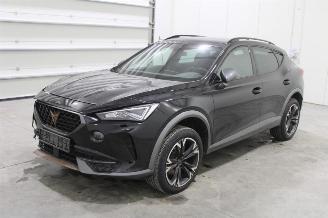 Avarii autoturisme Cupra Formentor  2024/2