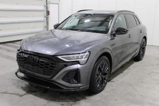Avarii autoturisme Audi Q8 e-tron 2024/5