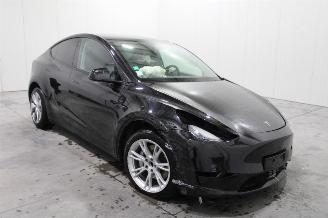 Tesla Model Y  picture 2